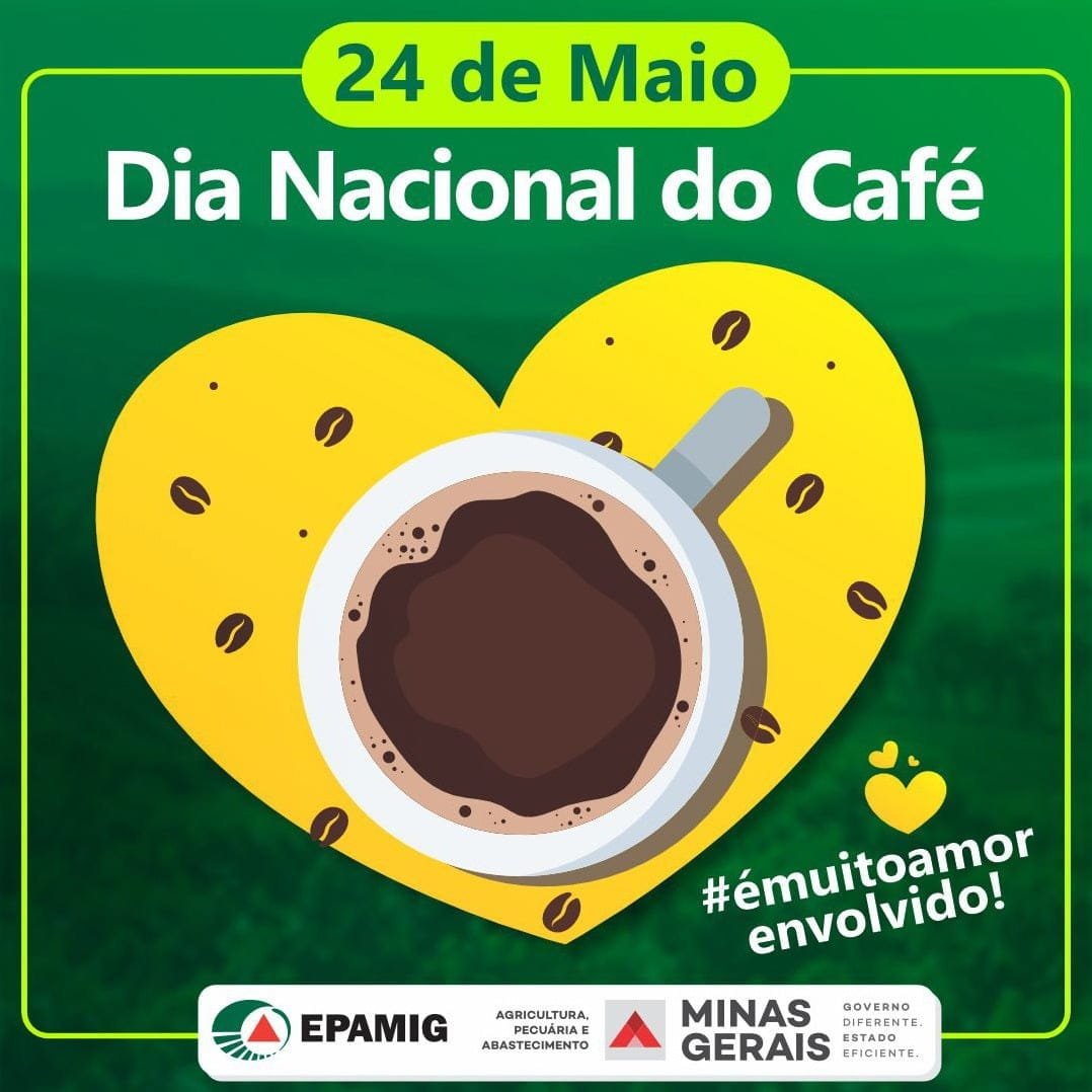 Publica O Da Epamig Apresenta Recomenda O De Cultivares De Caf Para