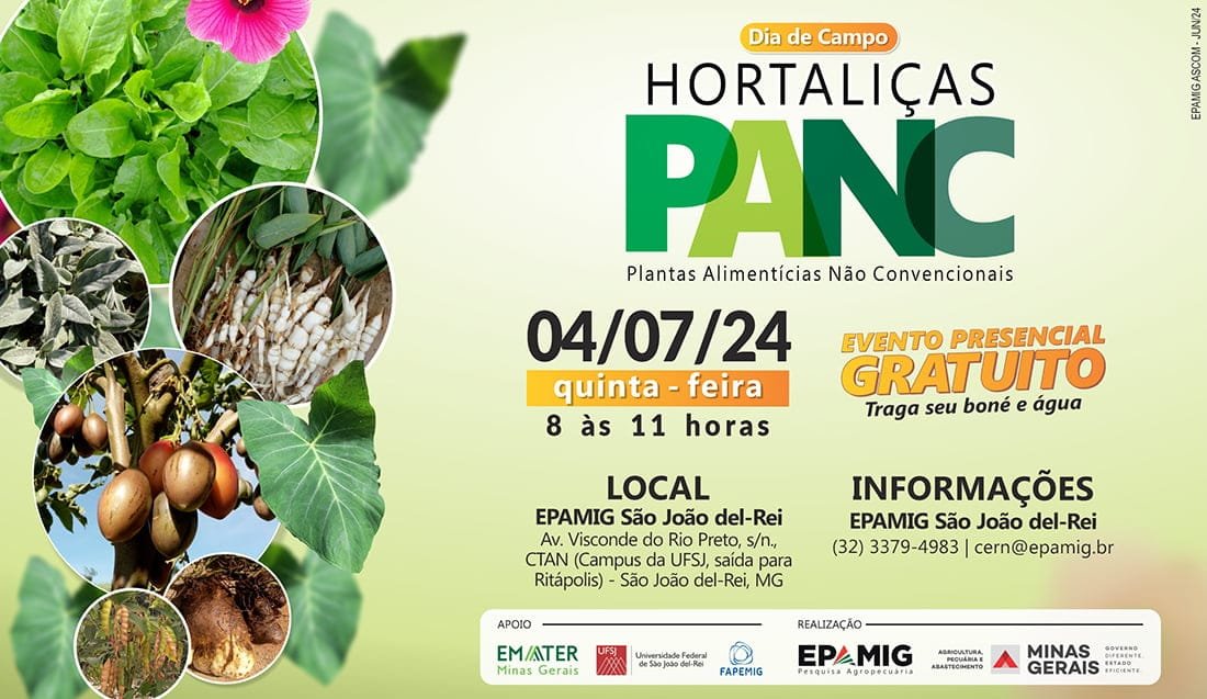 Epamig Realiza Dia De Campo Sobre Hortali As Panc Epamig