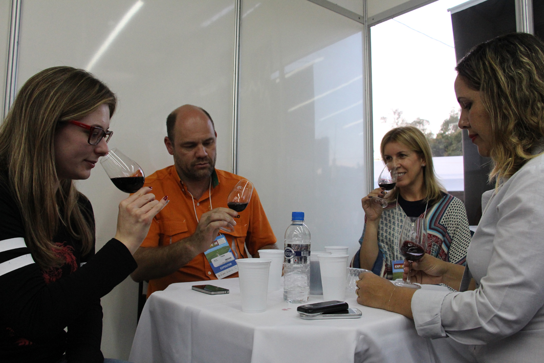 Curso de degustação de vinhos é destaque na programação da Expocafé