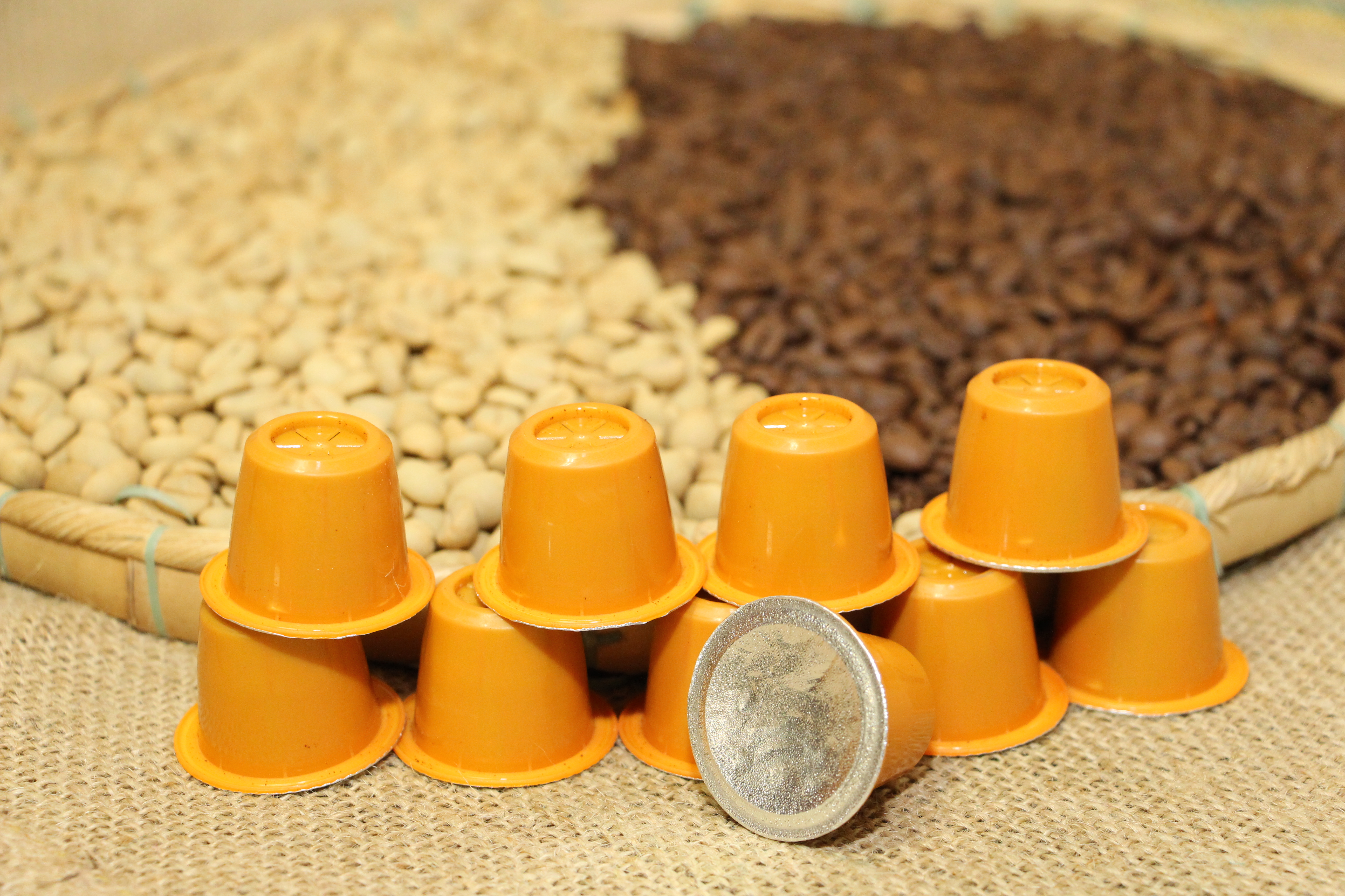 IMG_8904 - variedades de cafés da EPAMIG já são comercialziadas em cápsulas - Foto Erasmo Pereira