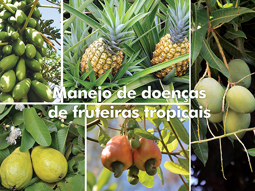 Blog - Manejo de doenças de fruteiras tropicais