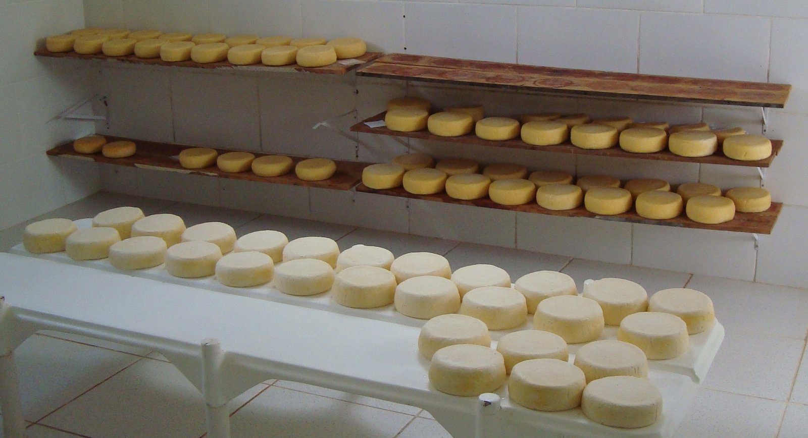 7808 - Queijaria em Tiradentes investe em padronização na fabricação do queijo minas artesanal. Foto Lúcia Resende