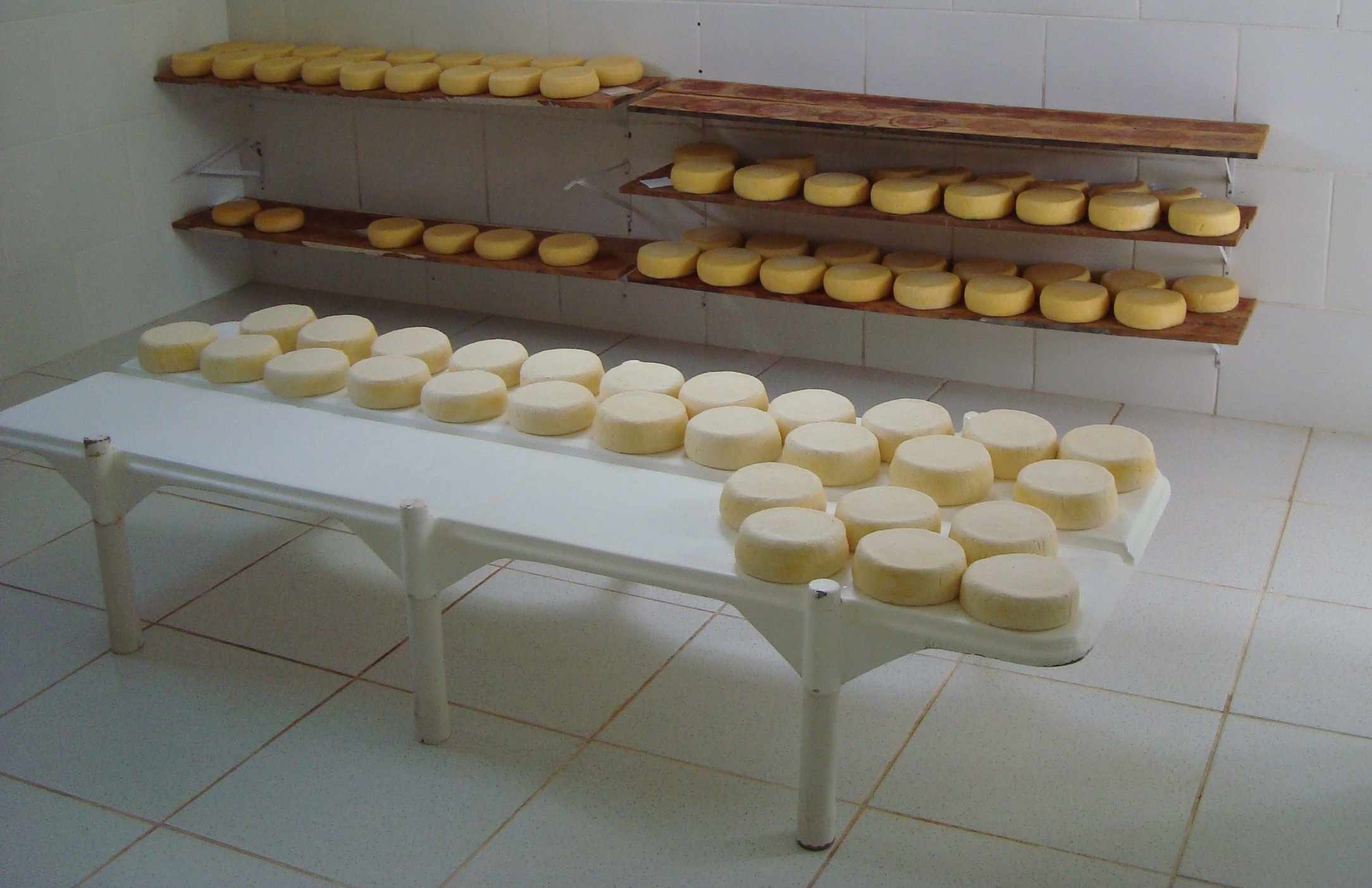 7808 - Queijaria em Tiradentes investe em padronização na fabricação do queijo minas artesanal. Foto Lúcia Resende.jpg