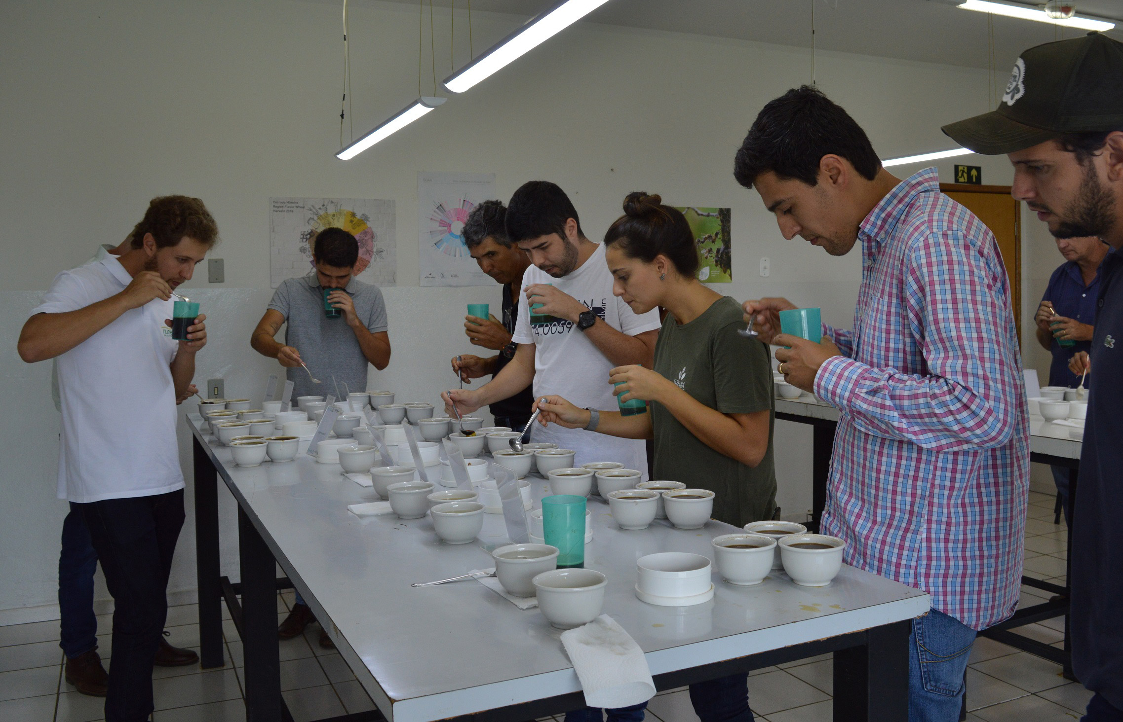 Melhores amostras foram provadas pelos produtores em um cupping - Crédito Federação de Cafeicultores do Cerrado