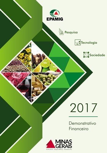 Demonstrativo Financeiro 2017