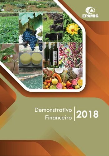 Demonstrativo Financeiro 2018